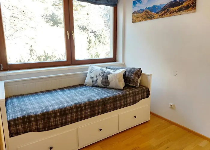 公寓 Kelchalm Superior 巴德小基希海姆